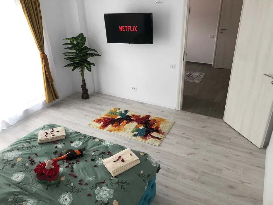 Una camera con un letto, una TV a schermo piatto e una pianta in vaso — monolocale a Brașov