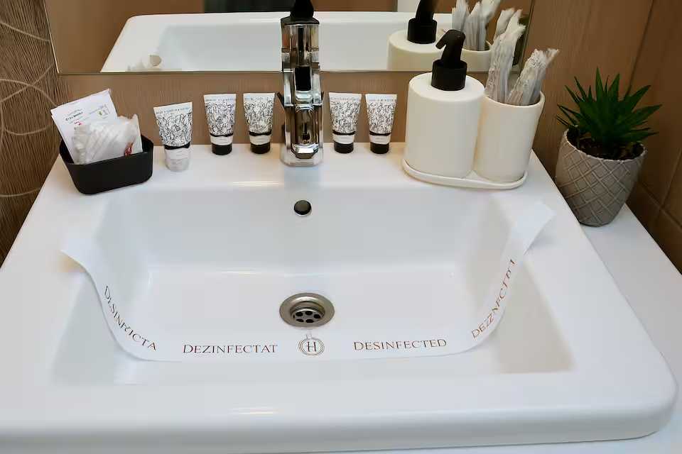 Un bagno con lavandino e uno specchio — appartamento a Oradea